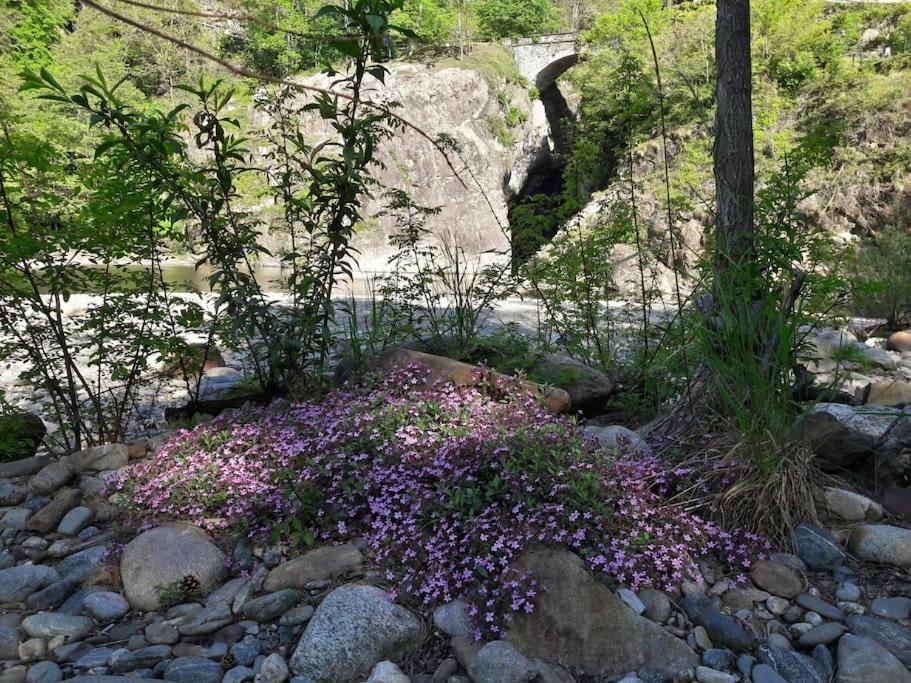 Appartamento La Meridiana A Traffiume Cannobio Exteriör bild