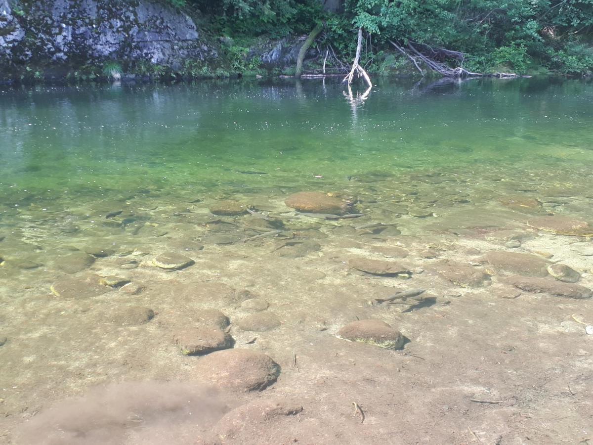 Appartamento La Meridiana A Traffiume Cannobio Exteriör bild