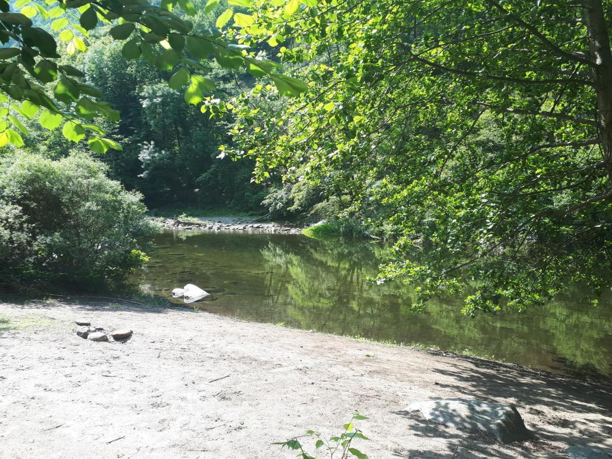 Appartamento La Meridiana A Traffiume Cannobio Exteriör bild